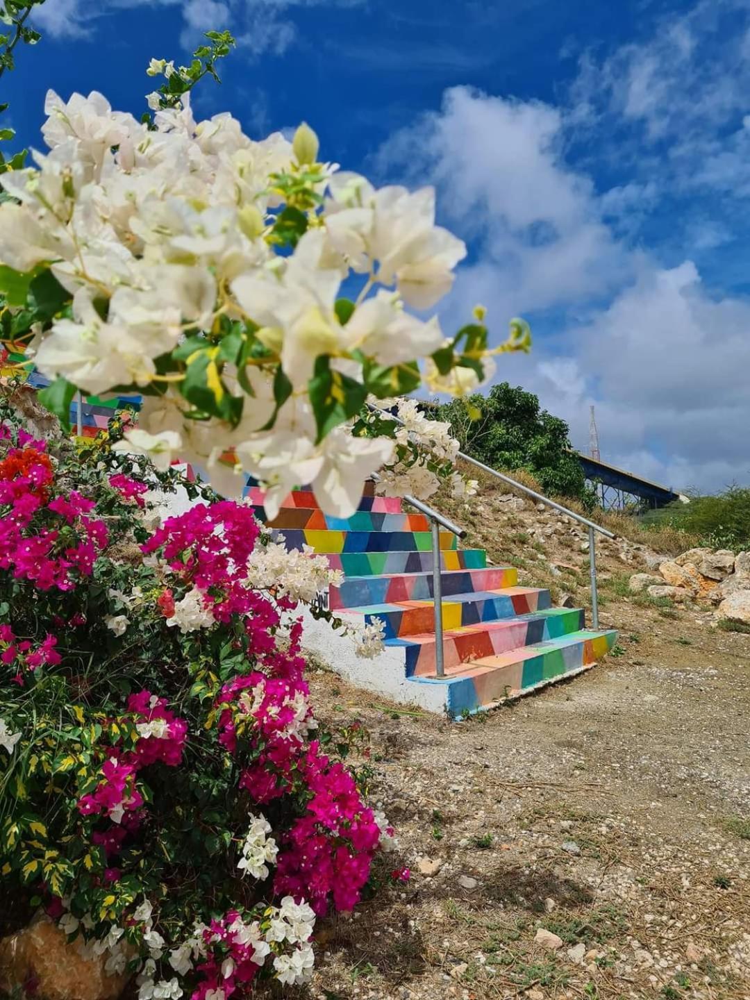 Caribbean Beach Resort Blenchi Curacao Willemstad Exterior photo